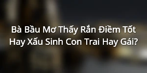 Bà Bầu Mơ Thấy Rắn - Điềm Tốt Hay Xấu - Sinh Con Trai Hay Gái?