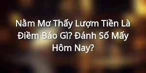 Nằm Mơ Thấy Lượm Tiền Là Điềm Báo Gì? Đánh Số Mấy Hôm Nay?
