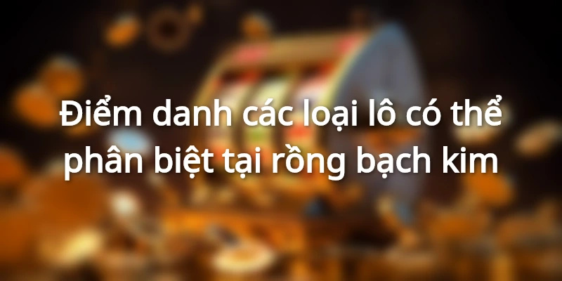 Soi Xổ Số Rồng Bạch Kim Chuẩn Cho Bạch Thủ