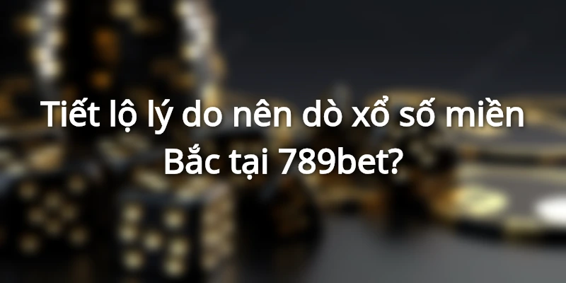 Mẹo Dò Xổ Số Miền Bắc Chắc Thắng Từ Chuyên Gia